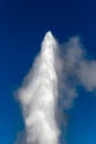 The top of Old Faithful geyser shooting into the air at Yellowstone Park Wyoming with a blue sky Royalty Free Stock Photo