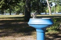 Top of an old school vintage blue water fountain in a park Royalty Free Stock Photo