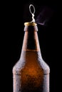 Top of open wet beer bottle Royalty Free Stock Photo