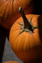 Top of an orange Pumpkin Royalty Free Stock Photo