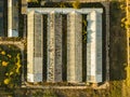 Top overhead view of organic greenhouse farm texture background f