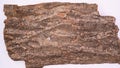 Top pan big piece of herb DuZhong or Eucommiae Cortex or Eucommia Bark vertical composition