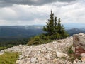 Top of Peak in Medicine National Forest Near Saratoga Wyoming at War With Trees and Rocky Mountain