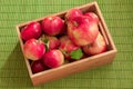 Top perspective view of wet apples with water drops in a small bamboo crate on green background Royalty Free Stock Photo