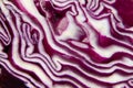 Top photo view of sliced red cabbage backgroud. Close up texture of color ingredient. Fresh health vegetable cross section Royalty Free Stock Photo