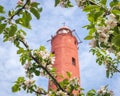 Top of red Akmensrags lighthouse surrounded with blooming apple tree branches