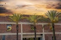 The top of a red brick buildings with three tall lush green palm trees and powerful clouds at sunset in Pasadena California Royalty Free Stock Photo