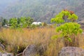 Top of river Levees covered in green and brown vegetation