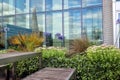 Top roof terrace with flowers and shrubs and patio furniture