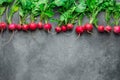 Top row of fresh raw organic red radishes with green leaves on dark concrete stone. Vegan gardening Royalty Free Stock Photo