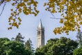 The top of Sather tower The Campanile rising above the trees Royalty Free Stock Photo