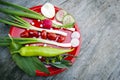 Top shot, close up of colorful young spring freshly harvesting, organic, crunchy, juicy fresh vegetables with copy space on red Royalty Free Stock Photo