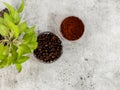 Top shot of roasted coffee beans, powder, and defocused tree leaves with copy space Royalty Free Stock Photo