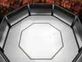 Top Side MMA Ring