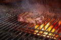 A top sirloin steak flame broiled on a barbecue, shallow depth of field. Royalty Free Stock Photo