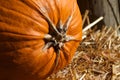 Top Stem of a Pumpkin Straw Hay on its Side