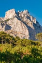 Top of stone mountain with peaks, forest coniferous trees in foreground, vertical frame Royalty Free Stock Photo