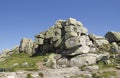 Top of Szrenica mountain