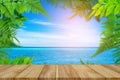 Top table wood Green trees and leaf greenery on the beach Royalty Free Stock Photo