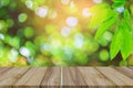 Top table wood Green trees and leaf greenery bokeh Royalty Free Stock Photo