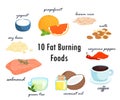 Top ten fat burning fat foods illustration