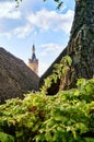 Top of a tower of Schwerin Castle between thatched roofs