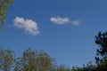 Top of trees over pollution and plane free blue sky Royalty Free Stock Photo