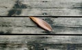 A top veiw of an autumn leaf on wooden background