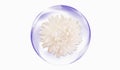 Top veiw, brigness single chrysanthemums flower in bubble purple color blossom blooming isolated white background for stock photo