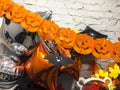 Top viev yellow ghosts pumpkins with colorful autumn leaves , silver and black toys, halloween concept