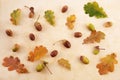 Top view of acorns and oak leaves on vintage background. Autumn forest stuff. Royalty Free Stock Photo