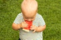 Top view of a adorable baby boy eating ripe watermelon against green background