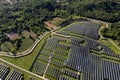 Top view Aerial view of Solar panel, photovoltaic, alternative electricity source