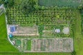 Top view of agroforestry row of mixed plant and fruit plantation in cultivated land at countryside. Agribusiness, Sustainable