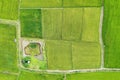 Top view of agroforestry row of mixed plant, fruit plantation and fish pond in cultivated land at countryside