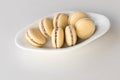 Top view of Alfajores,shortbread cookies filled with caramel and rolled in coconut. Argentinian macaroons on white plate