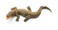 Top view aligator toy on white background Royalty Free Stock Photo