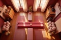 top view of aligned yoga mats and bolsters in a cozy studio