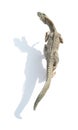 Top view allosaurus toy on white background with shadow Royalty Free Stock Photo