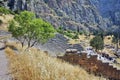 Top view of Amphitheater in Ancient Greek archaeological site Delphi Royalty Free Stock Photo