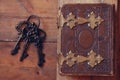 Top view of antique book cover, with brass clasps Royalty Free Stock Photo