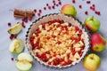 Top view on the apple pie in the baking dish decorated with fresh apples, cranberry, spices, cinnamon sticks on the gray table Royalty Free Stock Photo