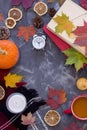 Top view apportion from autumn objects on a concrete background. Autumn still life