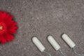 Top view of arranged menstrual tampons and red flower