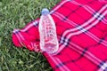 Top view of arranged water bottle and red plaid on green grass