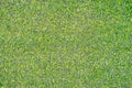 Top view of Artificial Grass background and texture, Green grass on soccer field Royalty Free Stock Photo