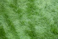 Top view of artificial grass. Floor coverings for playgrounds Royalty Free Stock Photo