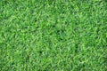 Top view artificial green grass field texture in garden on background Royalty Free Stock Photo