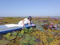 Top view of Asian Female Traveler In a white dress Looking at the beauty of the lotus Red Lotus Sea, Travel Concept, Udon Thani,