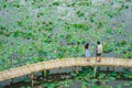 Top view of Asian tourists enjoy taking pictures on bamboo bridge over river with many lotuses. Happiness couple spending time